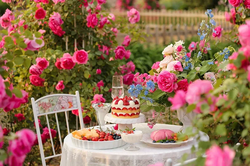 Radiomaster NEXUS-X…