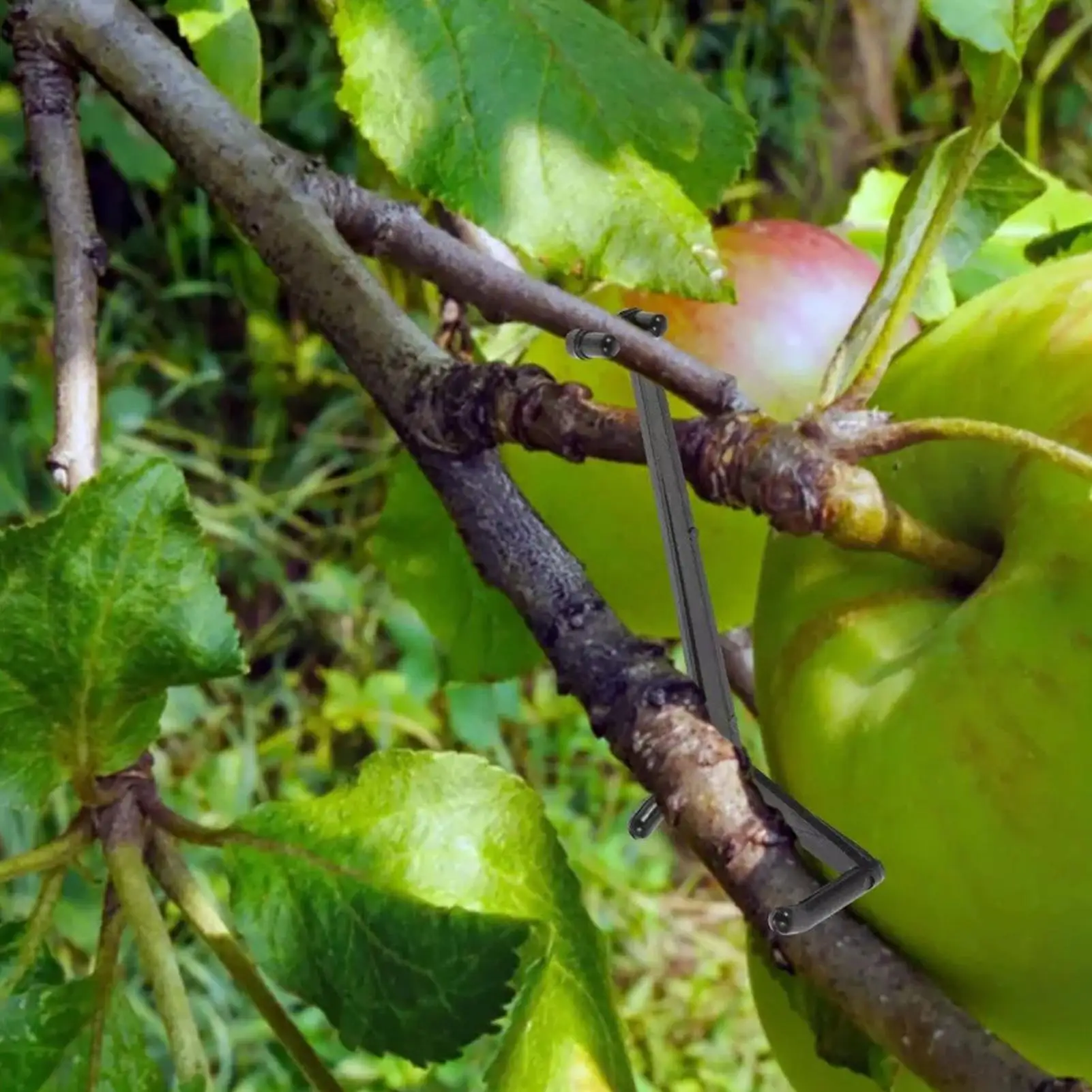 

Опора для ветвей растений, 20 шт., регулируемый стабилизатор, регулируемые расширители конечностей для фруктовых деревьев, для ремонта, фиксации, наклона