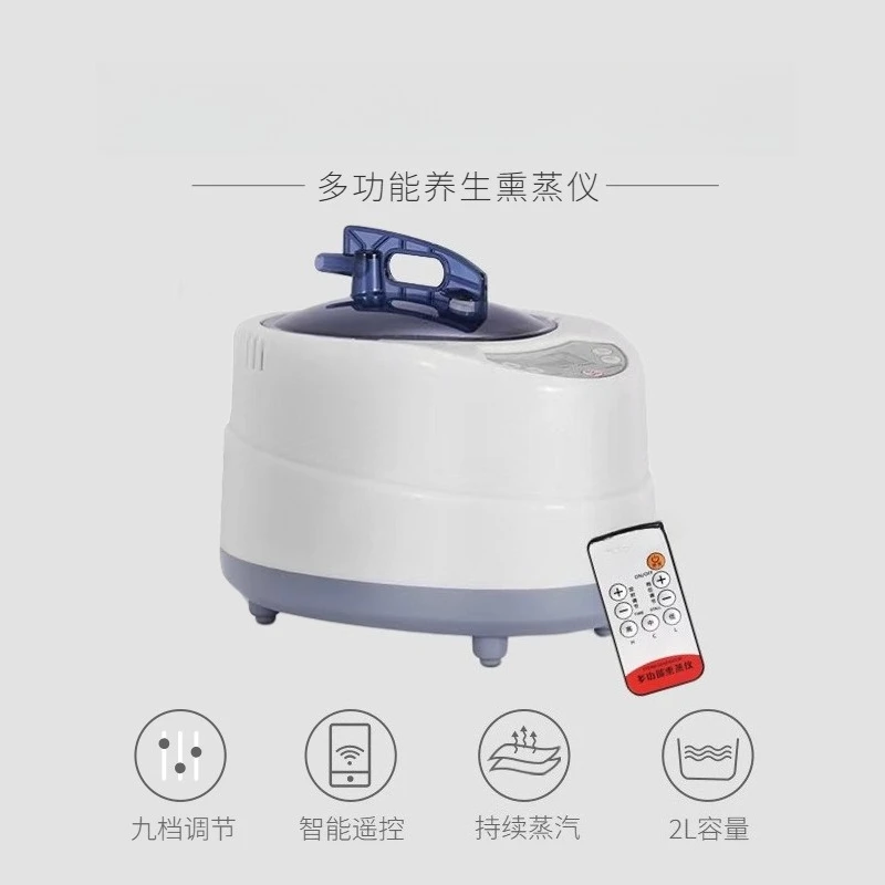 Steam Generator 220V/110V EU US Plug 1000W Upgrade Capacity 2L Home Steamer Pot for Sauna Water Vapor