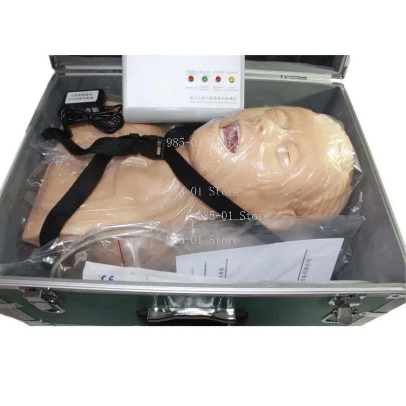 1:1 life-size electronic intubation teaching model with simulated airway and tooth pressure structure