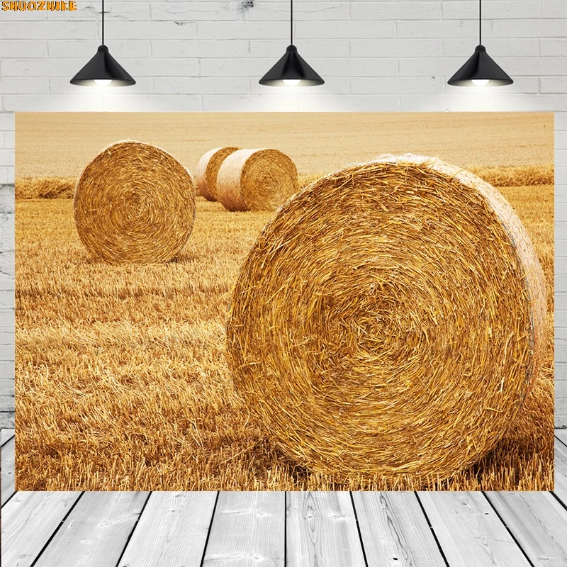 

Autumn Farm Haystack Photography Backdrop Golden Wheat Field Children Baby Portrait Background Props Photocall for Photo Studio