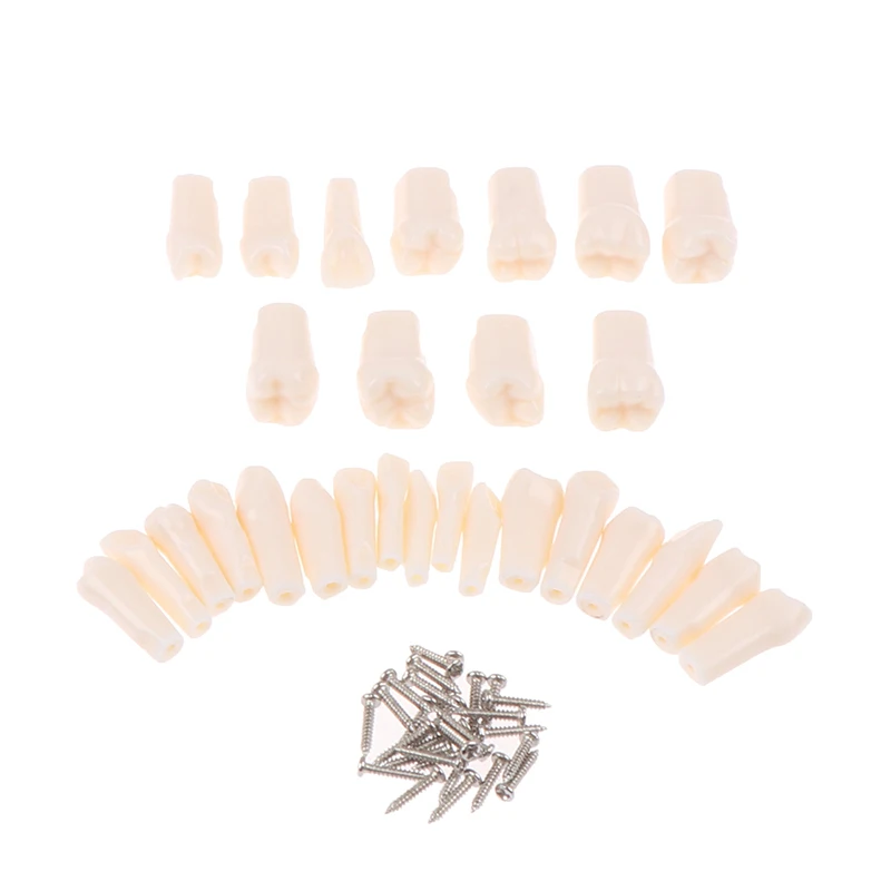 

28Pcs/set Resin Simulation Tooth Dental Typodont Resin Simulation Tooth Model Dentistry Teaching Tools