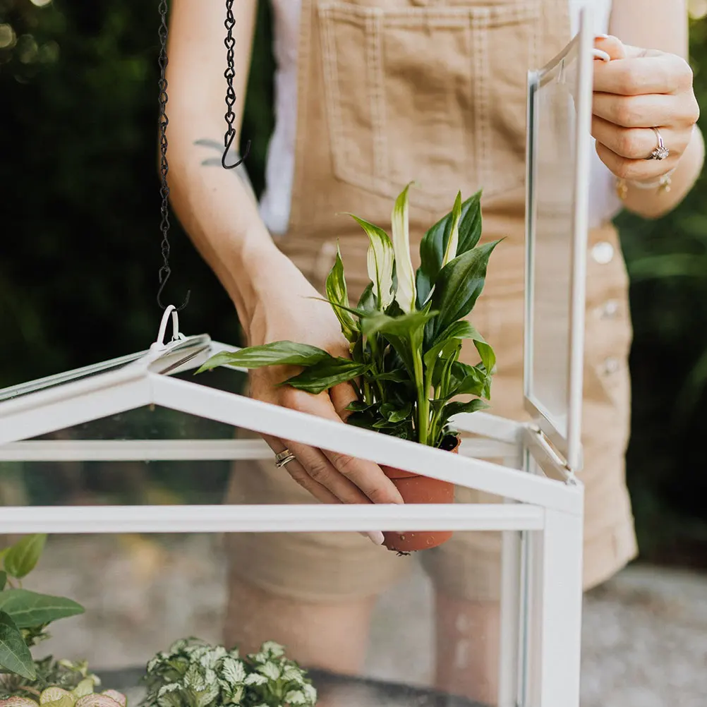 

6Pcs Flowerpot Hanging Chain Iron Basket Chains Replacement Hooks for Planters Birdcage Hanging Chains Plant Pot Metal Chain