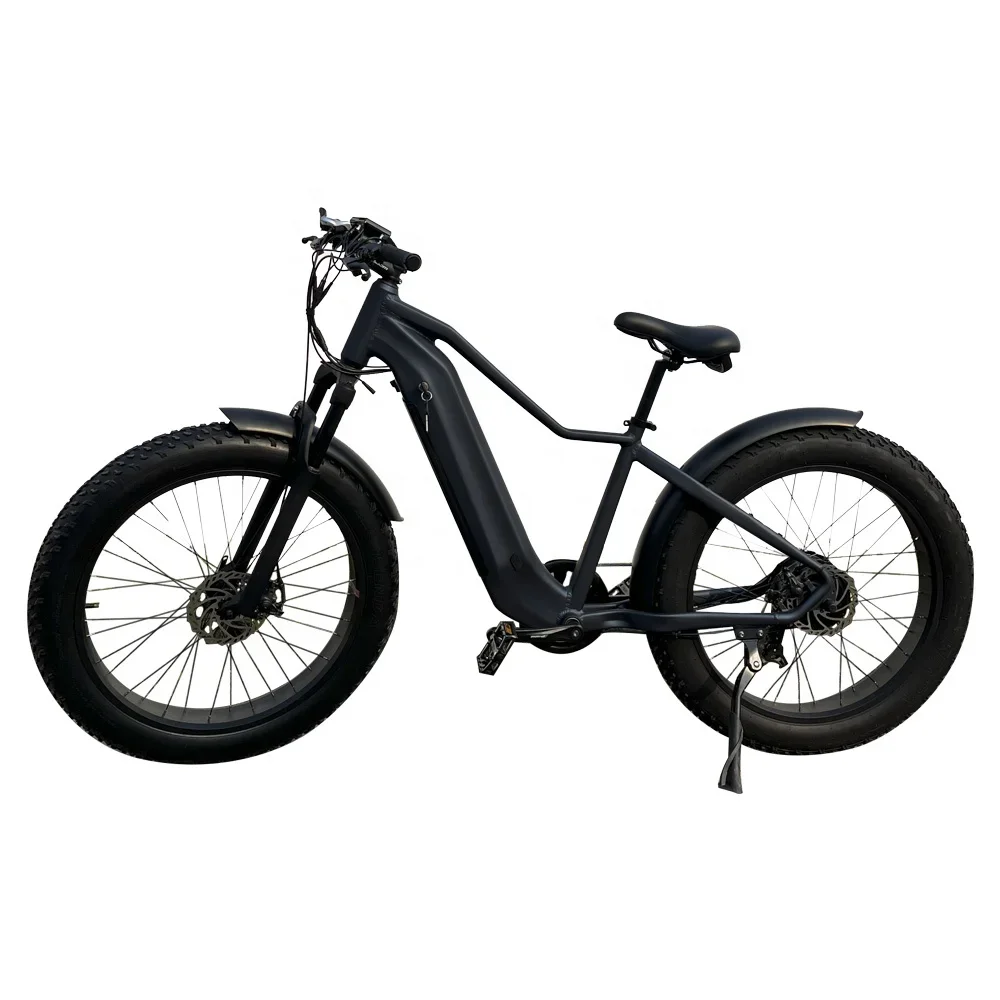 

Lantu Ebike 29 inch 28 26 electric mountain bike 500w 1000w bafang electric bmx bike with dirt bike frame ebike for mencustom