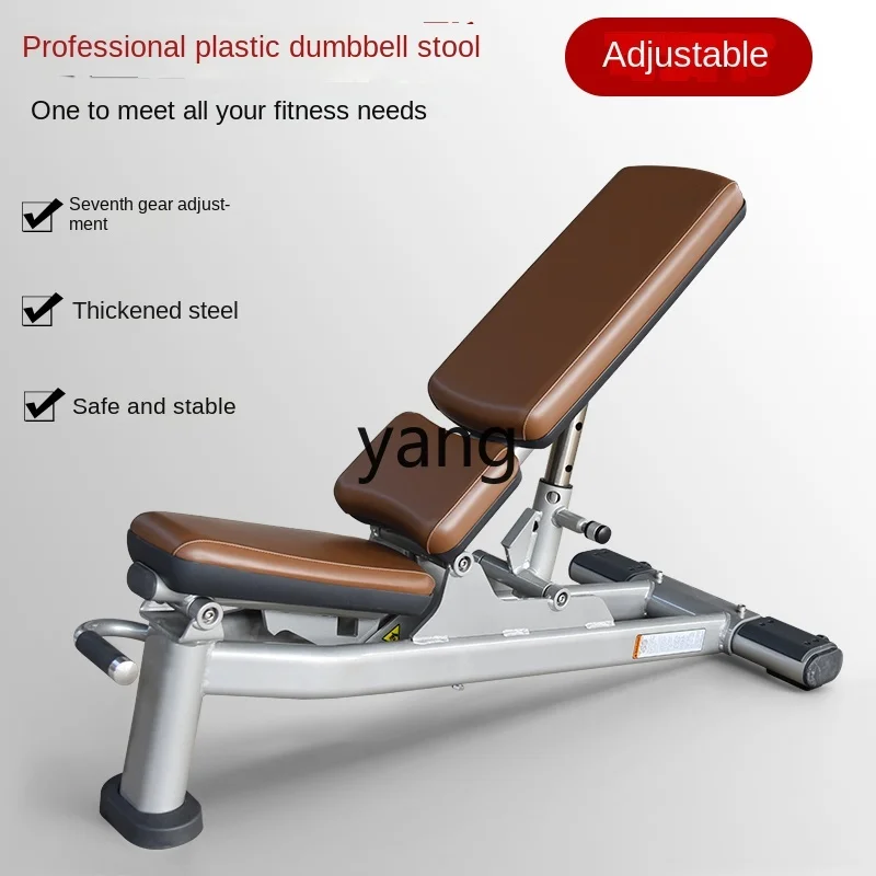 CX Dumbbell Bench Commercial Adjustable Professional Equipment Fitness Chair