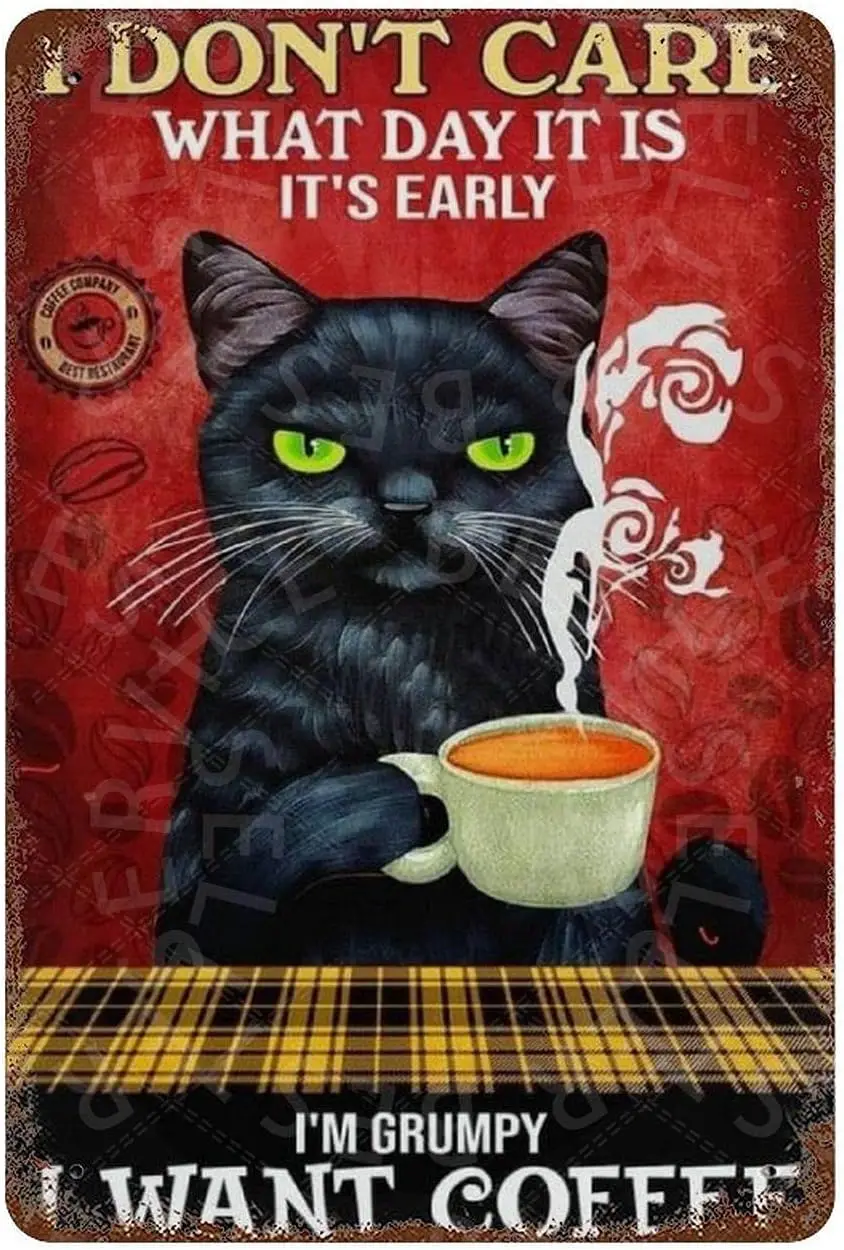I Don't Care What Day It is Cat Custom Personalized Chic Tin Sign Bar Garage Dorm Decor Retro Art Metal, 8 X 12 Inches sign