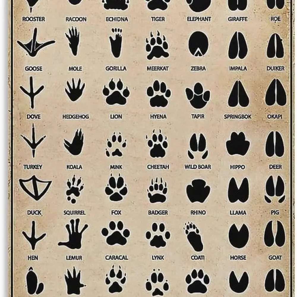 

CYPGTBCK Vintage Animal Tracks Poster Funny Canvas Art Poster And Wall Art Picture Print Modern Family Bedroom Decor Posters 12x