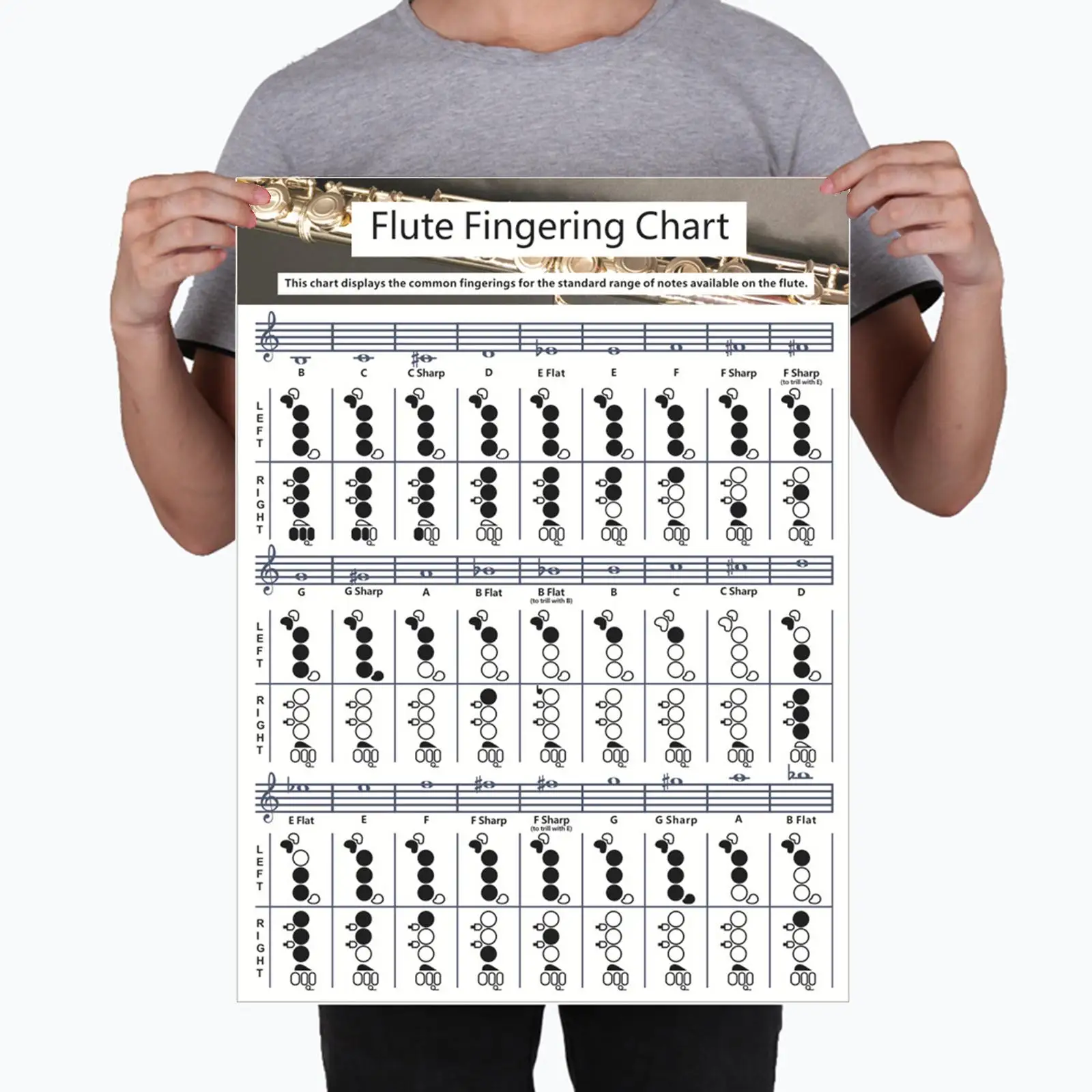 Flute Chart Musical Instructional Music s Poster for Beginners