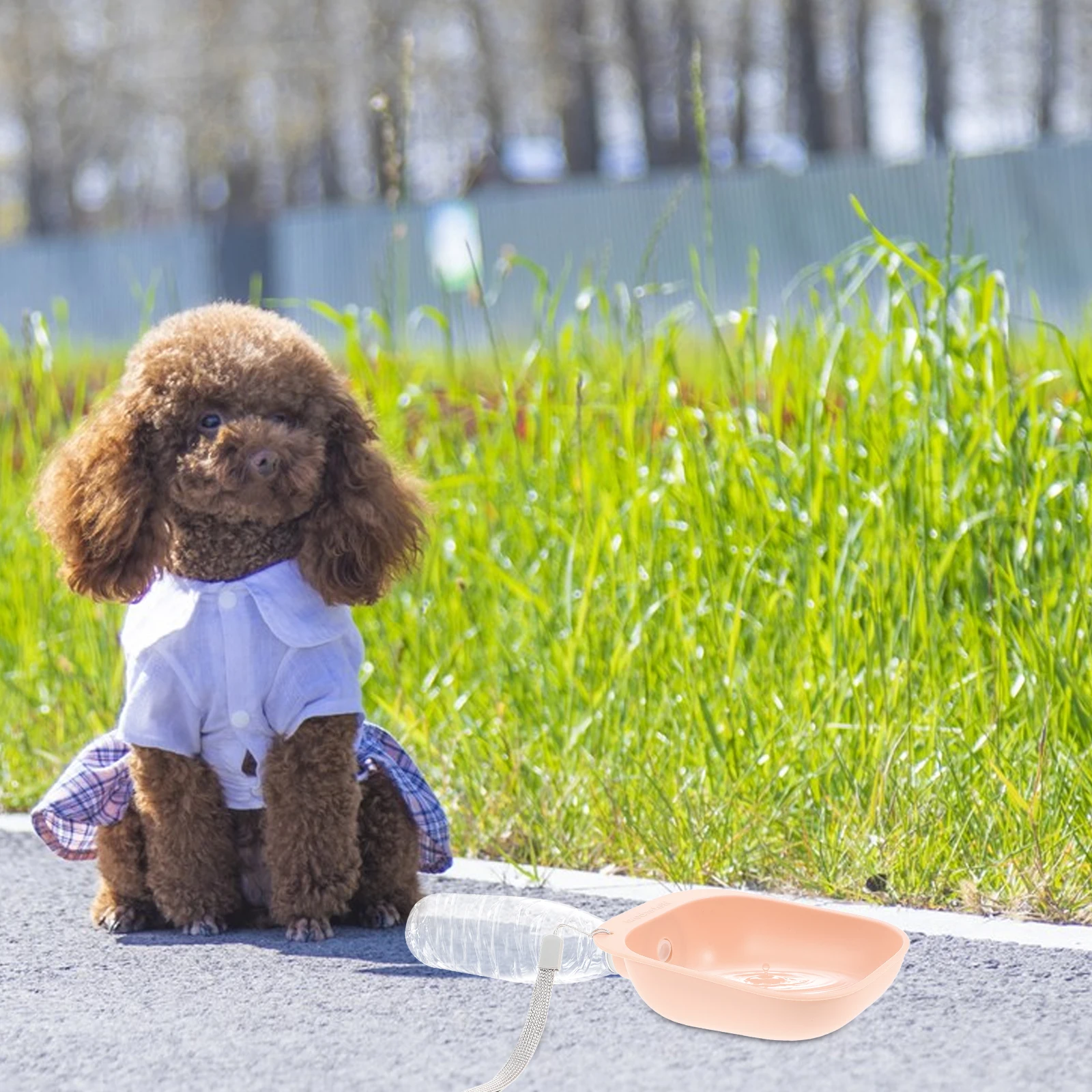 

New Pet Water Feeder 1 Portable Dog Bowl Pink Color Easy to Clean Outdoor Travel AccessoriesABS Material Small Capacity