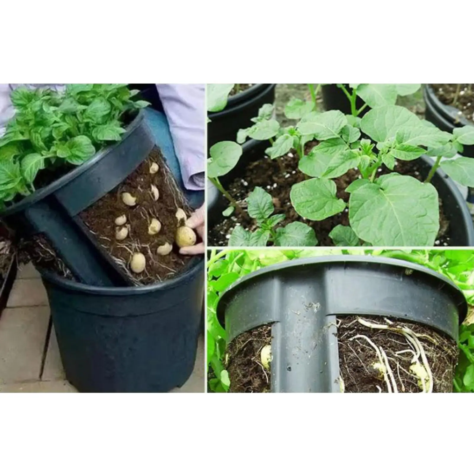 2 in 1 Plastic Garden Planter Pot Durable Plastic Vegetables Grow Pots for Peanuts Onion Vegetables