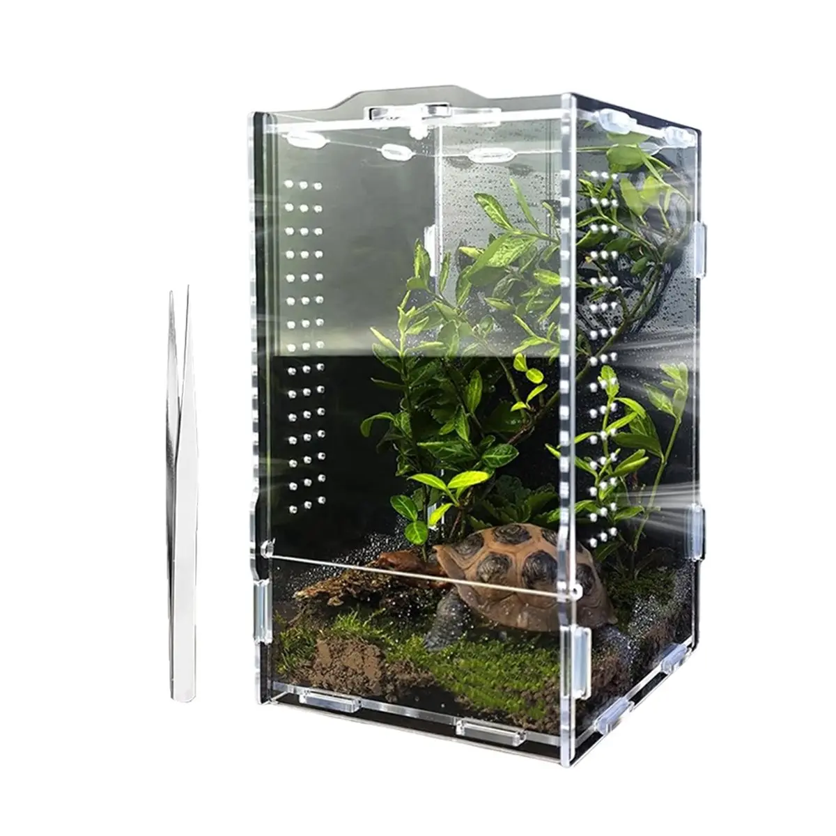 ABZT Jumping Spider Enclosure, Tarantula-Enclosure Large Acrylic Terrarium, Reptile Enclosure Jumping Spider Accessories