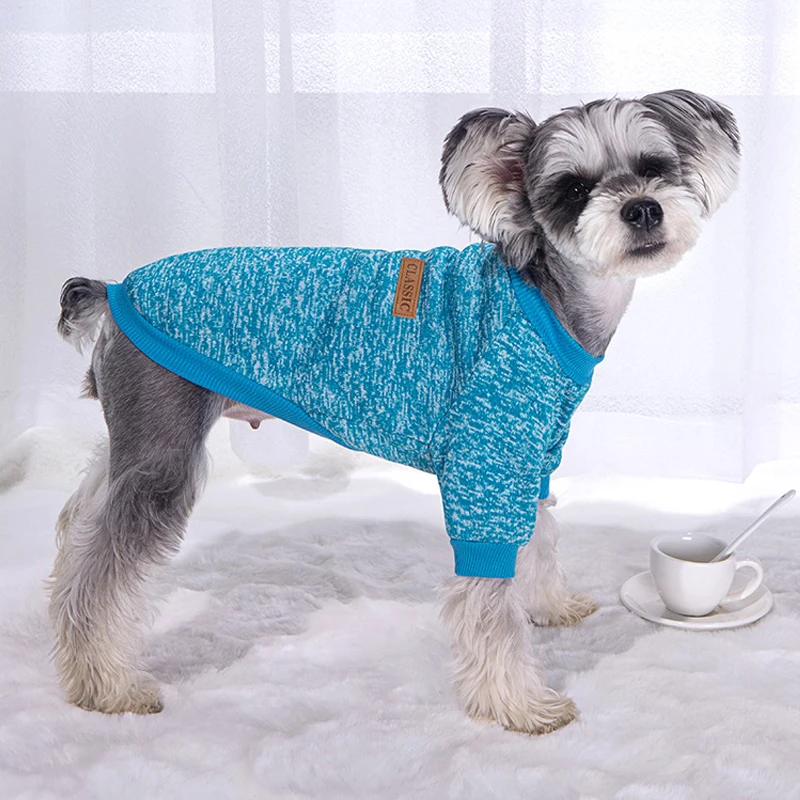 Warm Winter Dog Sweatshirt 6