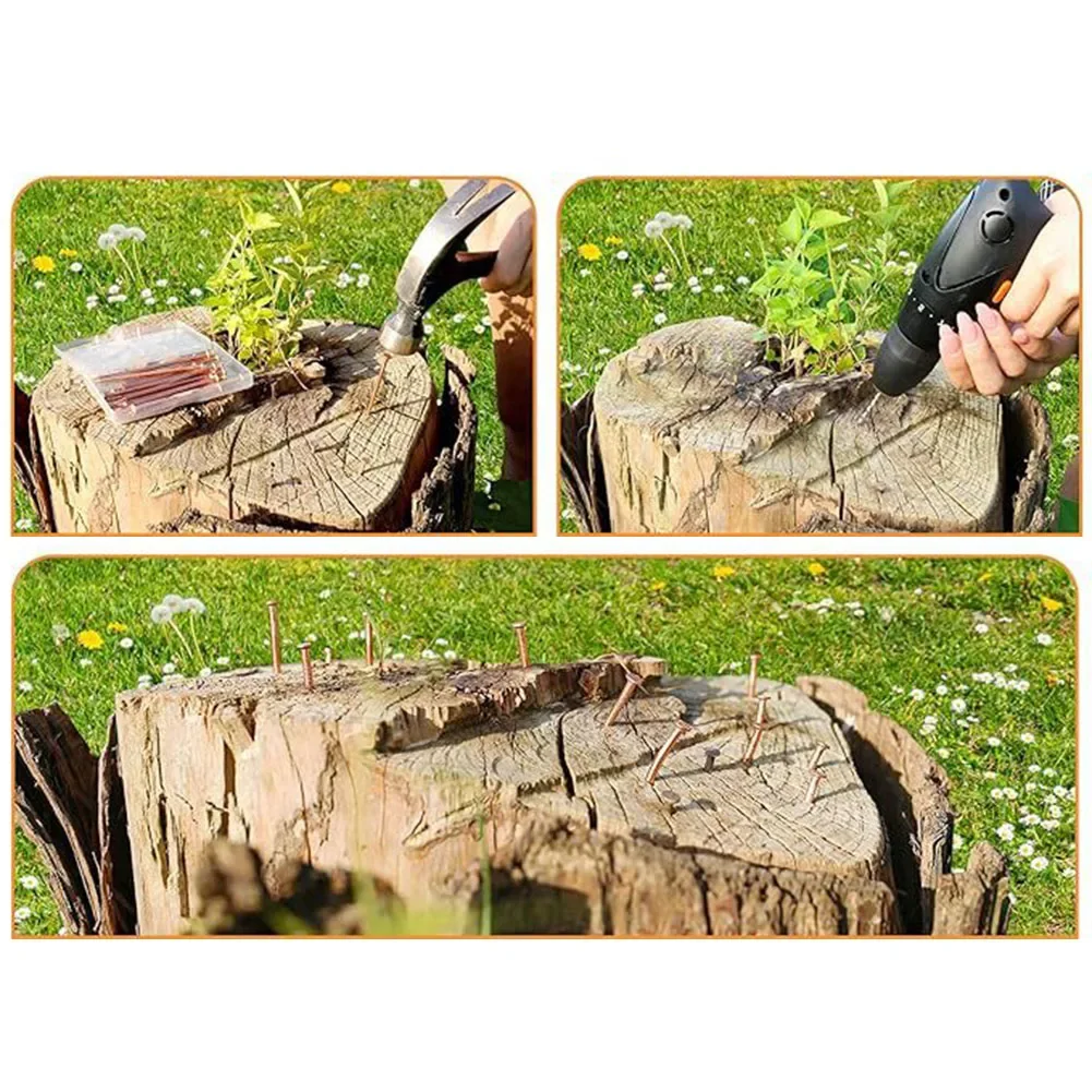 Effective Root Elimination Stump Removal Spikes Gardening And Landscaping Solid Copper Material Versatile For Gardening