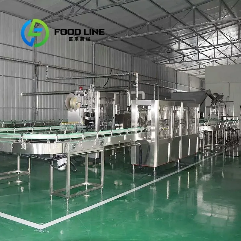 Small Commercial Fruit Juice Production Line Compact Structure Easy Operation Washing Juicing Packaging Equipment Energy Saving