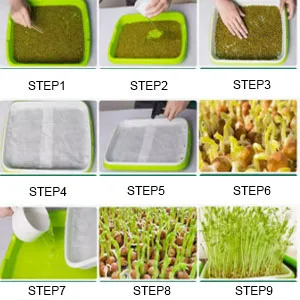 Soilless Planting Seedling Tray,Seed Sprouter Germination Tray for Growing, Bean Sprouts, Cat Grass, Wheat Grass, Mung Beans