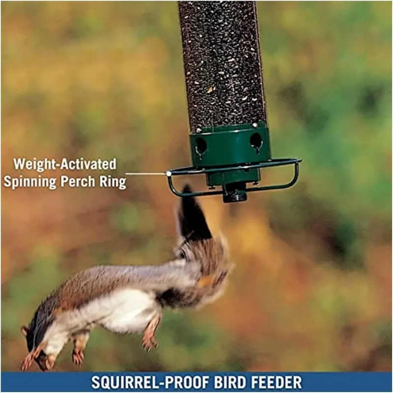 Thumbnail 2 - #30 Compare Squirrel Feeders Before You Buy