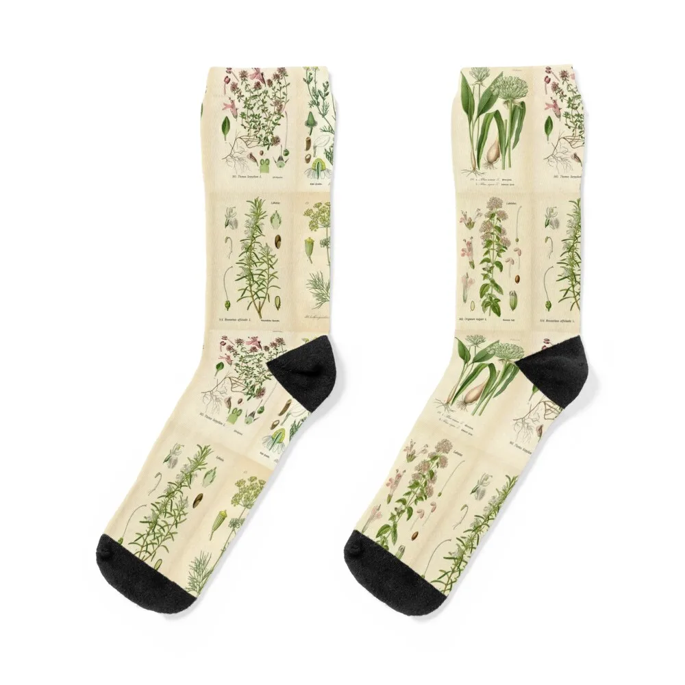 Apothecary Herbs Vintage Botanical Plants Cottagecore Socks japanese fashion cartoon Man Socks Women's