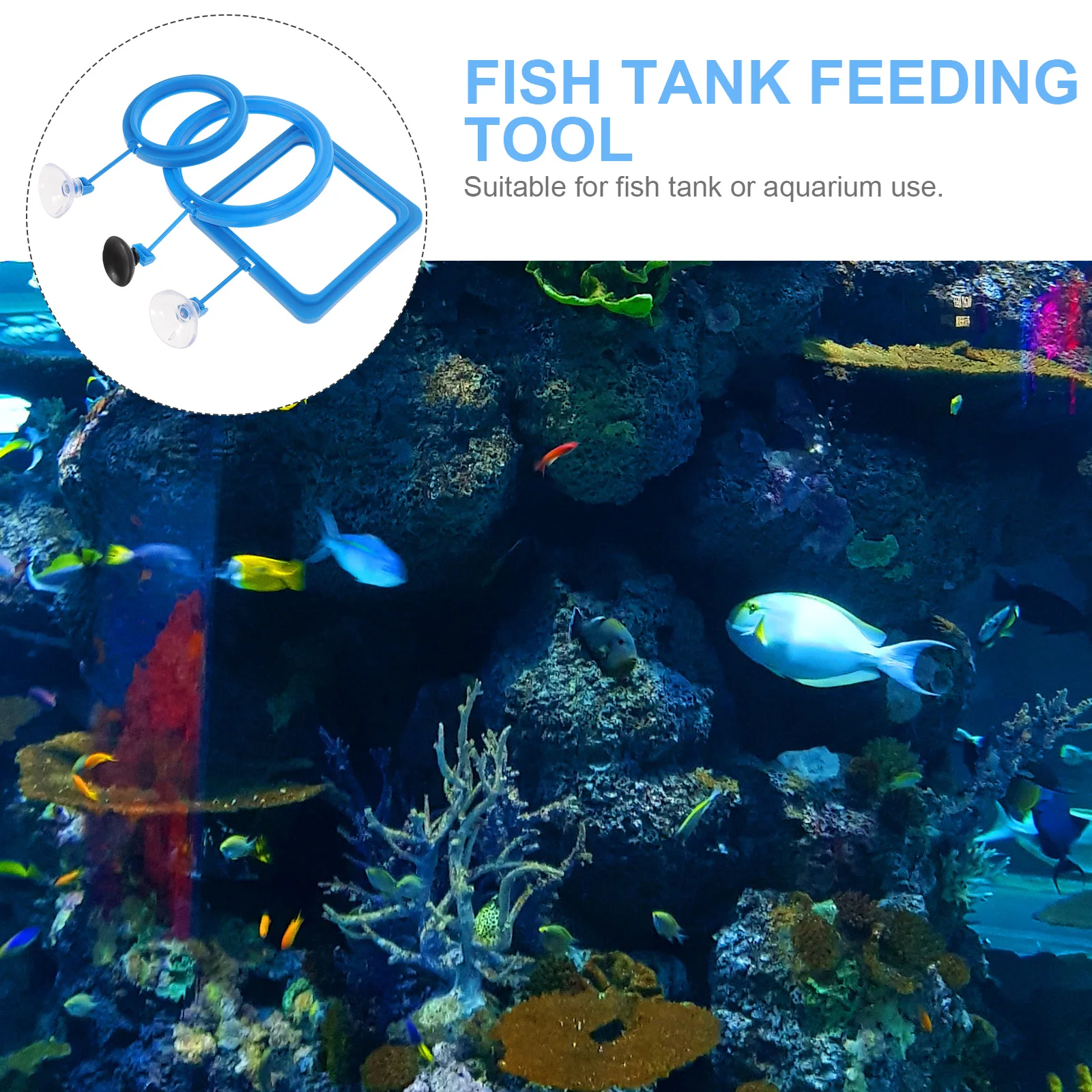 

3pcs Premium Fish Tank Feeding Tool Blue Plastic Aquarium Buoyancy Feeder Compact Lightweight Easy Clean for Aquarium Fish Tank