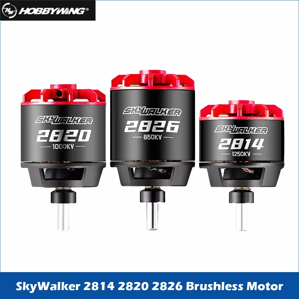 Hobbywing Skywalker…