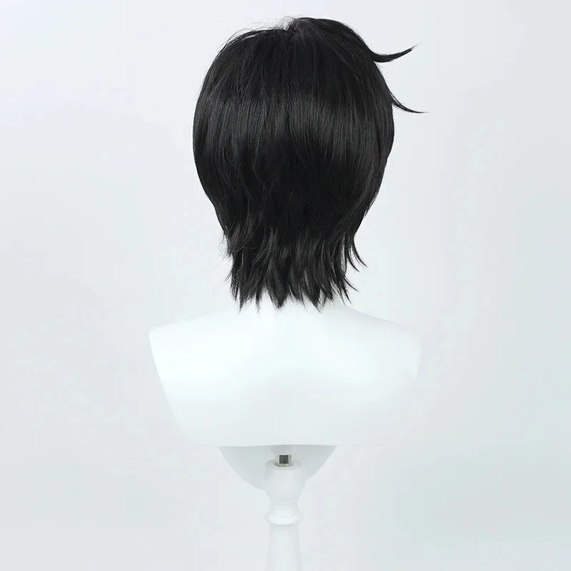 Peluca de Cosplay Moon Chiba Mamoru, esmoquin negro, pelo sintético resistente al calor, papel de fiesta de Halloween + gorro de peluca