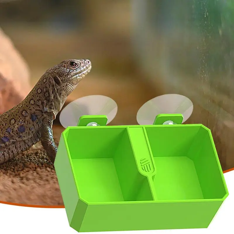 Reptiles Suction Cup Feeder Detachable Suction Cup Reptile Feeding Dish Feeder 2 Grid Reptile Food Bowl Feeder Water Bowls For