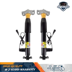 Pair Rear Left&Right Shock Absorber Struts Assys Fit Lincoln MKZ Gas Electric 2013-2020 DG9Z18125B DG9Z18125A