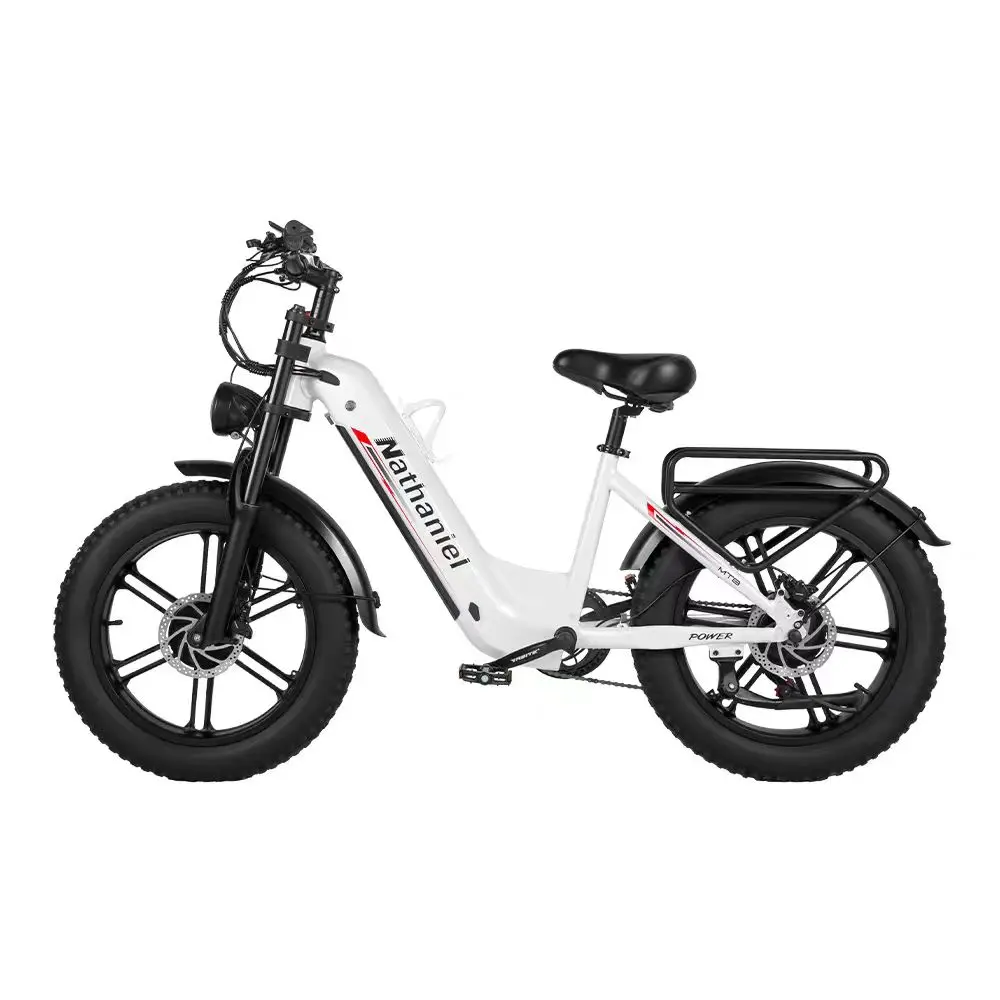 Nathaniel SYR08 Dual Motor 2000W Electric Bike 48V40AH Dual Battery Adult Off-Road Electric Bicycle 20 inch All-Terrain E-Bike