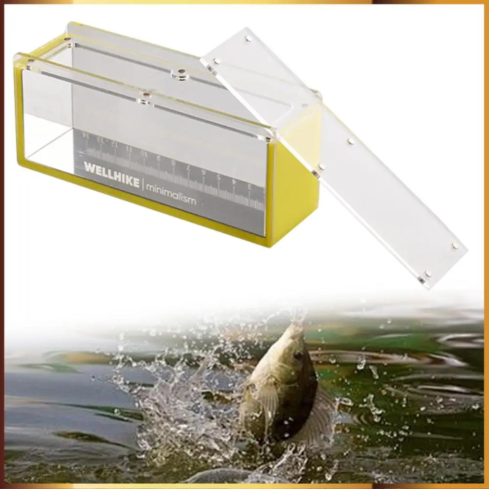 

Transparent Fish Watching Box with Lid Scale Mini Fish Viewing Container Acrylic Stream Observation Box Observation Accessories
