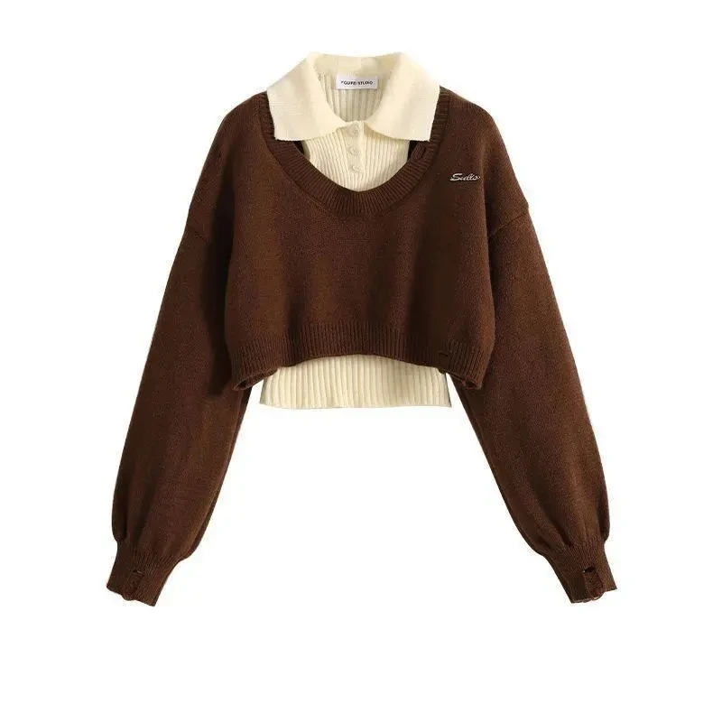 American Style Short Sweater Women's Autumn Winter Wear Two-Piece Set Knitted Sweater And Vest Top outfit knitted Pullover Shirt