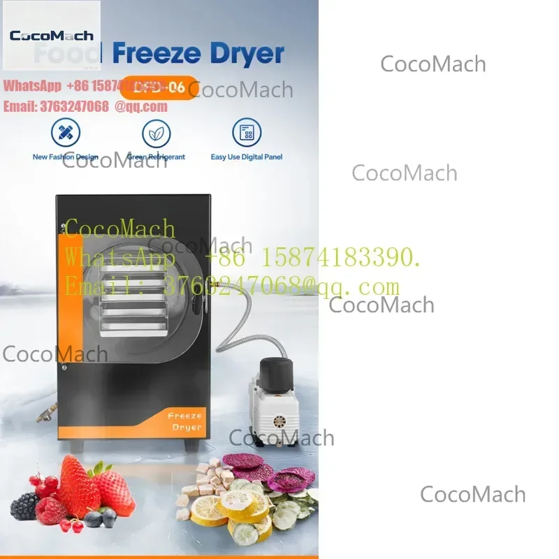 Mini Food Freeze Drying Machine Home Use Vacuum Freeze Dryer for Dried Fruit