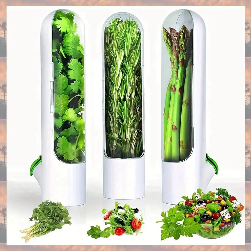

2025 Trend 3Pcs Vegetable Storage Containers Herb Freshness Cups Kitchen Organizer And Storage Box