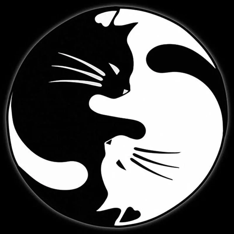 Car Sticker Yin and Yang Cat Automobile Styling Decorative Decal Personalized Car Window Glass Waterproof PVC,15cm*15cm