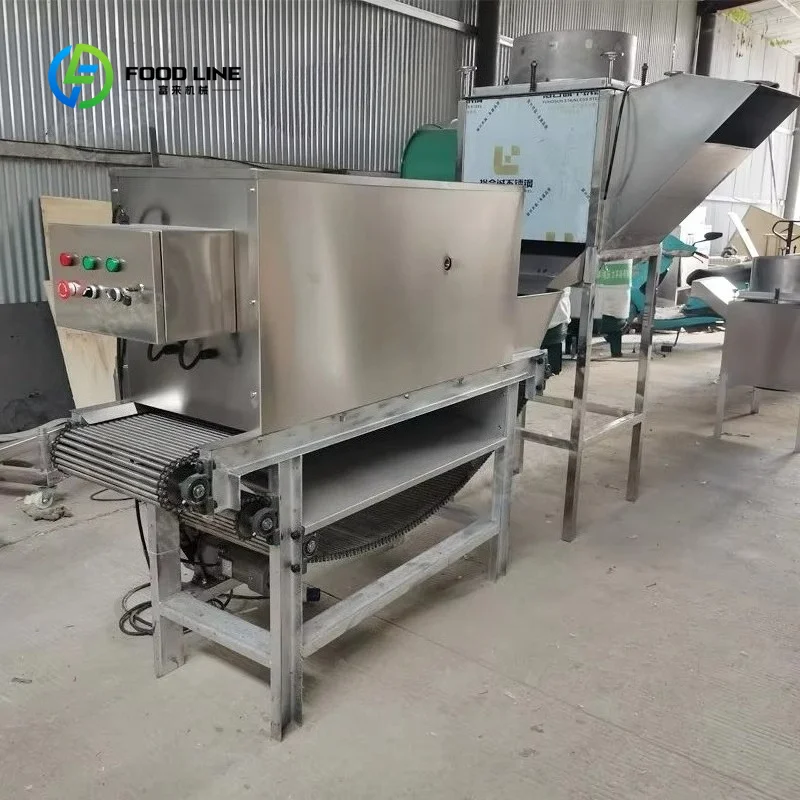 Customized Garlic Peeling Machine Fresh Garlic Peeler Removing Machine Garlic Peeled Machine