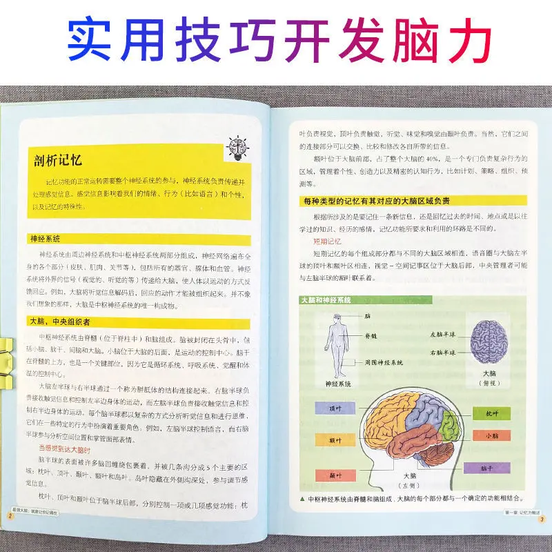 가장 강력한 두뇌 기억 방법, 어린이 학생의 기억 능력 향상, 논리적 사고 훈련 책