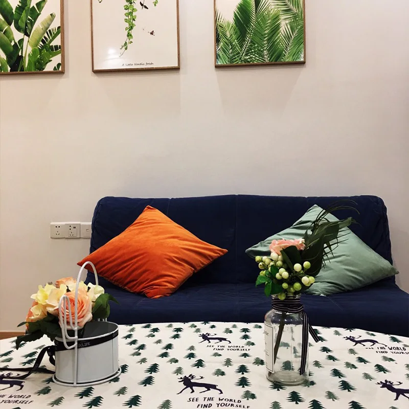 Orange Velvet Cushion Cover Soft Pillowcases 45x45 Nordic Home Decor Pillow Cover for Sofa Throw Pillows Decorative 40x40 30x50