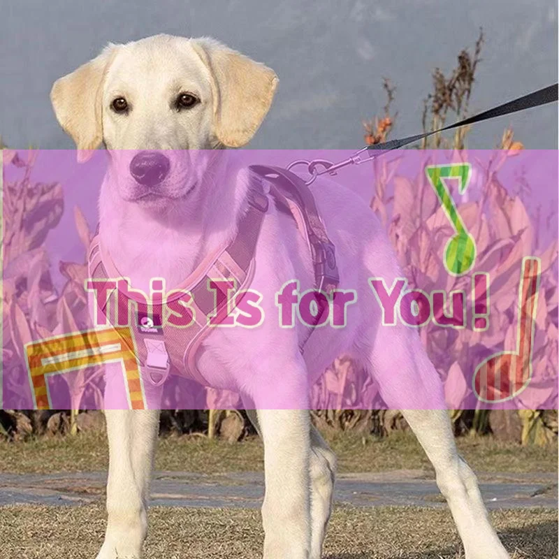 【Hma】Dog Harness Re…