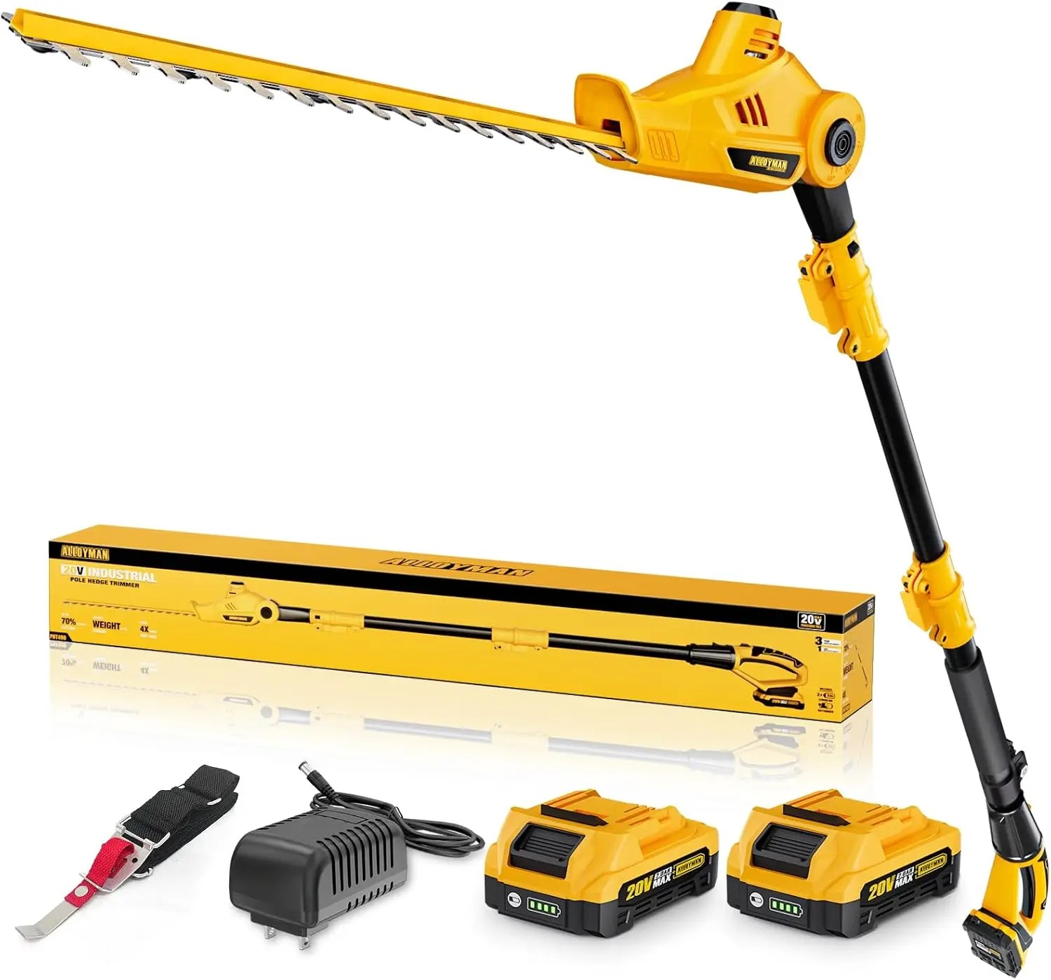 20V Telescoping Pol…