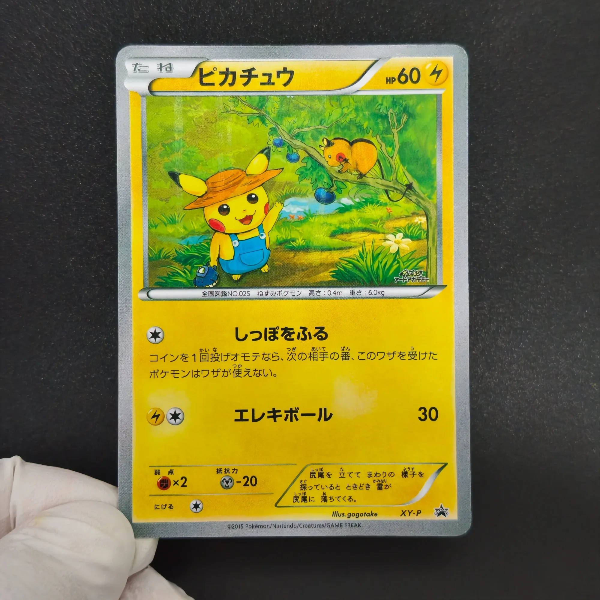 Proxy 2015 PKM XY-P Illustration Contest Promo Cards 6pcs Mudkip  Goomy Chandelure Snorlax TCG Anime Collection Cards