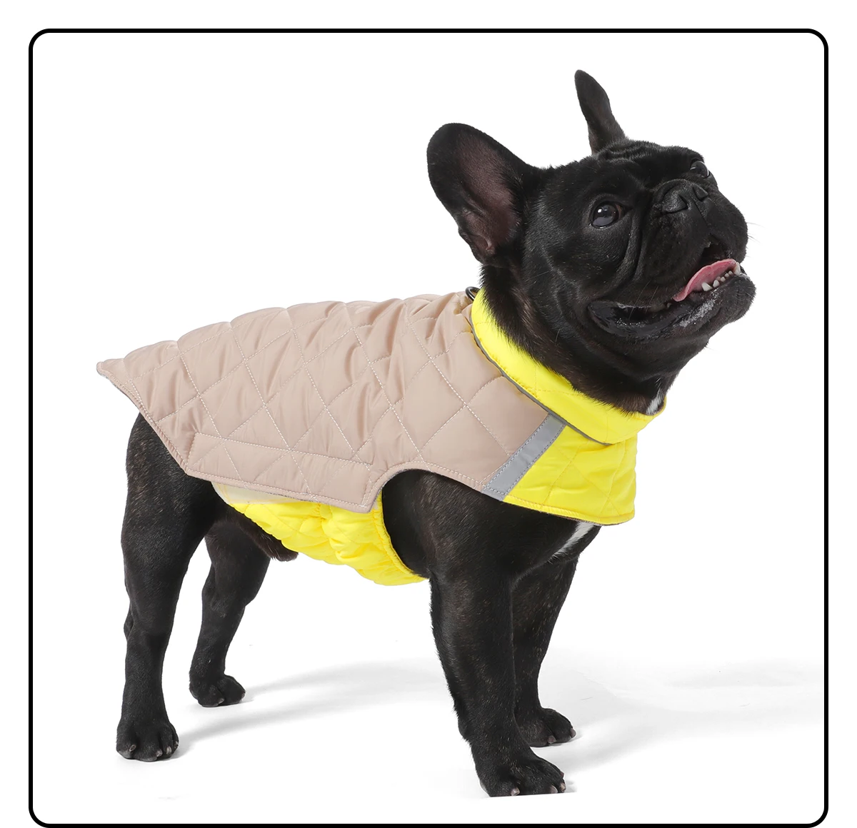 Winterhundekleidung, warmer Hundemantel, beidseitig tragbar, PP-Baumwolle, Outdoor-Welpenkleidung, Jacke, Chihuahua, French Bulldog Kleidung – Detail 14