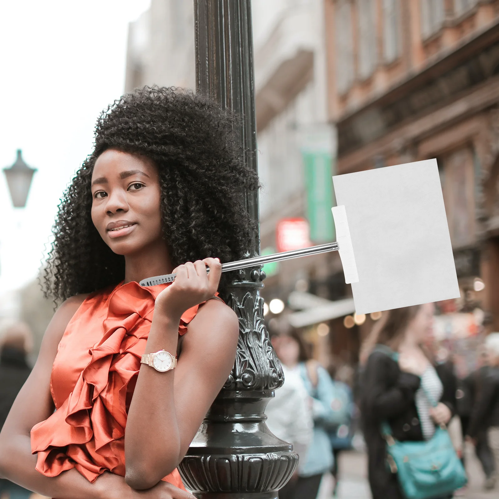 

Handheld Sign Rod Stainless Steel Adjustable Multi-Use Sign Holder for Sports Meetings Welcome Signs Outdoor Guide Poles