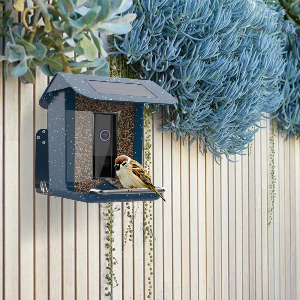 Solar Charging Smart Bird Feeder With Camera WiFi App Installation