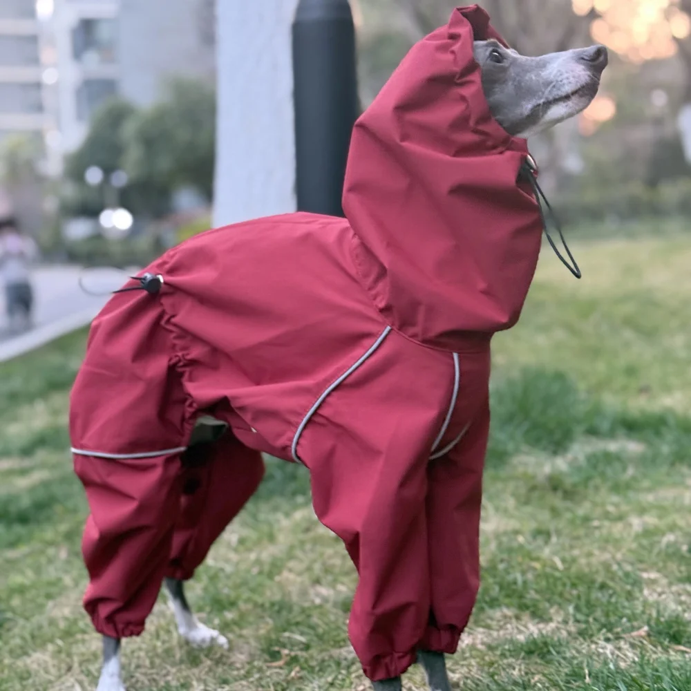 Frühling Sommer Blauer Regenmantel für Italienische Windhunde Winddichte Wasserdichte Jacke mit Rotem Reißverschluss für Whippets Reflektierender Streifenmantel – Detail 18