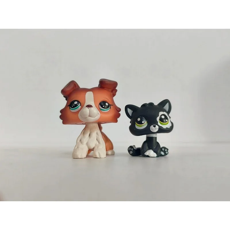 2 szt./partia Mini Zabawka dla Zwierząt Domowych - Pies Collie, Czarny Kotek # 1542 figurki zwierząt LPS