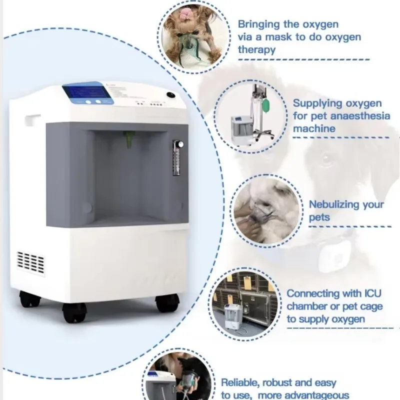 2026 10L Animal Oxygen Concentrator Veterinary Use Oxygen Concentrator 10L Oxygen Equipment for Pet Clinic Use
