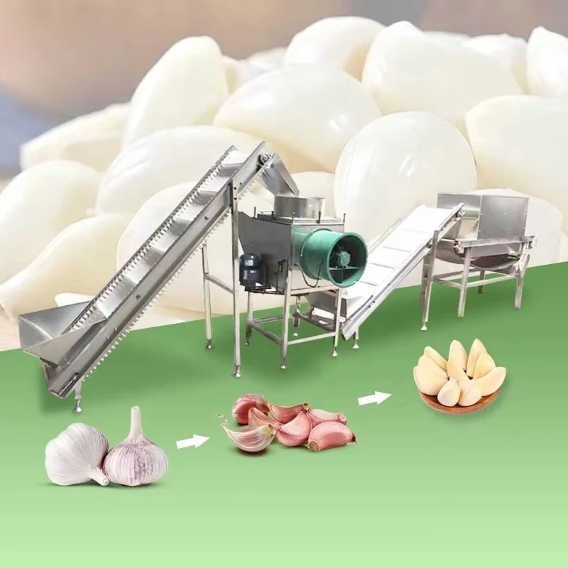 Garlic Ginger Bulb Break Machine Industrial Automatic Separate Peeler Product Line Customized High Efficiency