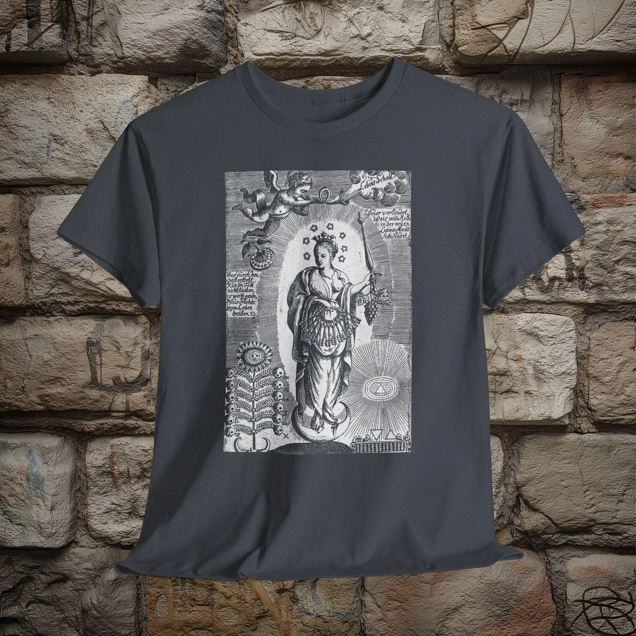 Oswold Croll 17th Century Alchemical Print Occult Art Shirt Esotericism Unisex T-shirt Graphic Retro Streetwear High-quality