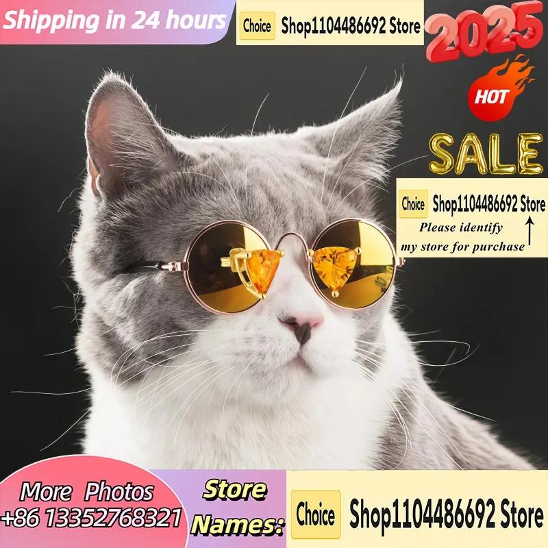 

Cat Glasses New Style Spanish Pure Silver Cute Earrings Collection Accessories for Girlfriend Holiday Jewelry Gift Daily Wear