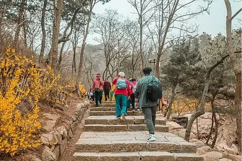 

Aluminum Alloy Chassis Front and Rear Support Replacement ARA320555 for Arrma1/8 Kraton Outcast BLX 6s RC Car Metal Upgrade Acce