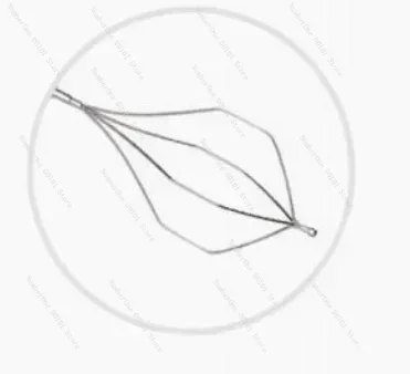 

Disposable Endoscopic Reusable Stone Extraction Basket/ Rotatable Stone Retrieval Basket for Stone remove