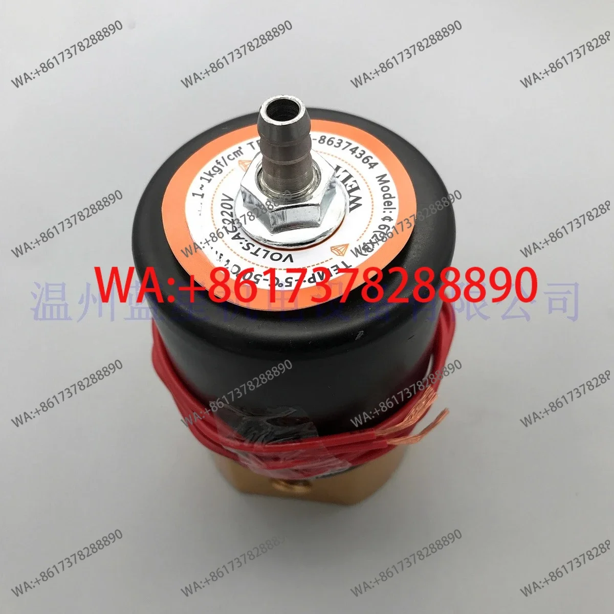 Seaside packing plant, vacuum solenoid valve 6 (2X3) AC220V DC24V